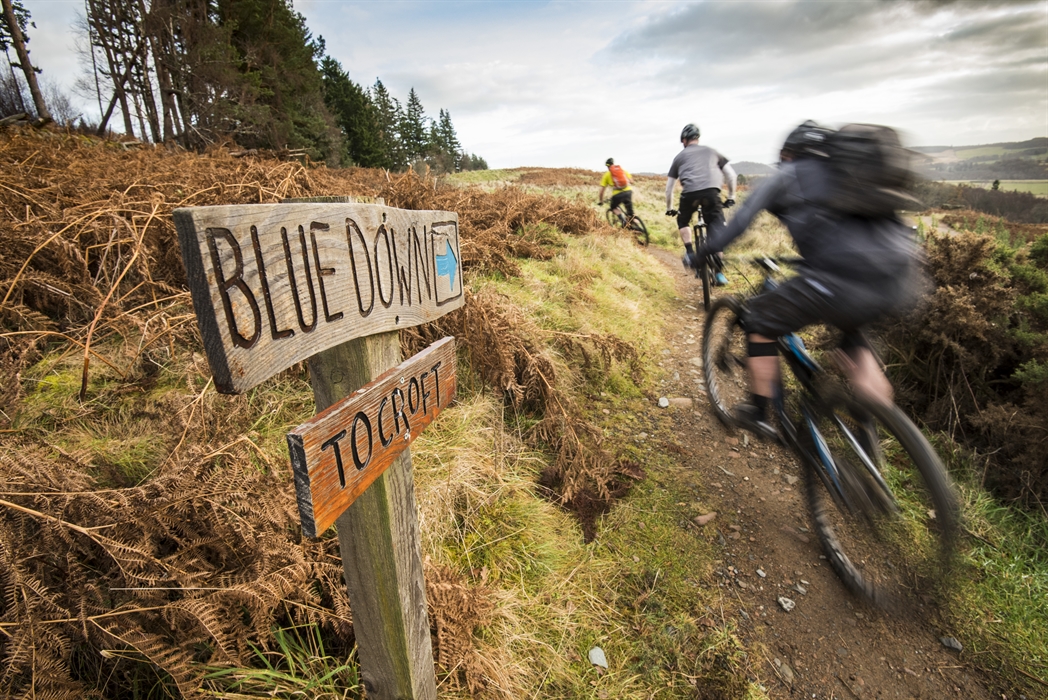 plannen Almachtig Zoekmachinemarketing Comrie Croft Bikes, Crieff – Mountain biking | VisitScotland