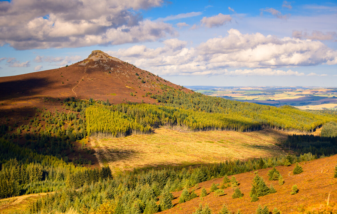 The Bennachie Hill
