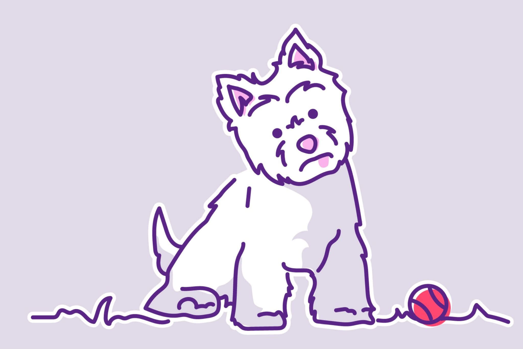 Glaikit meaning stupid; foolish; thoughtless