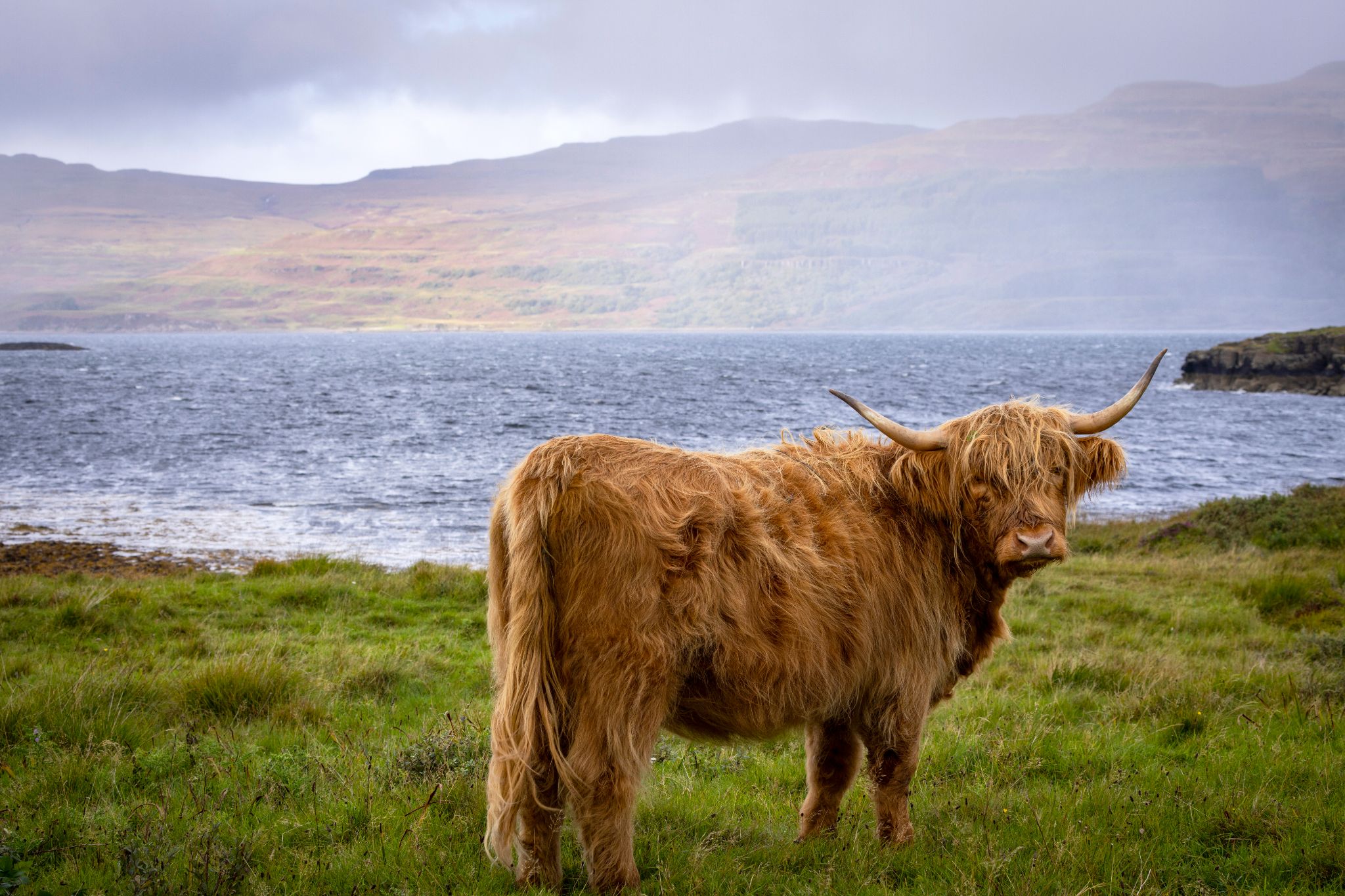 Scotland Tourist Attractions Great Days Out VisitScotland