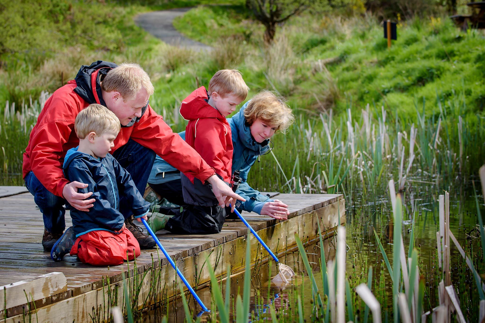 A family pond dipping at RSPB Loch Lomond