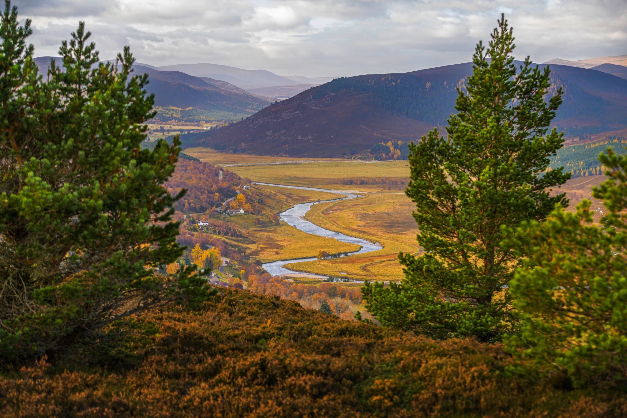 A view towards Braemar