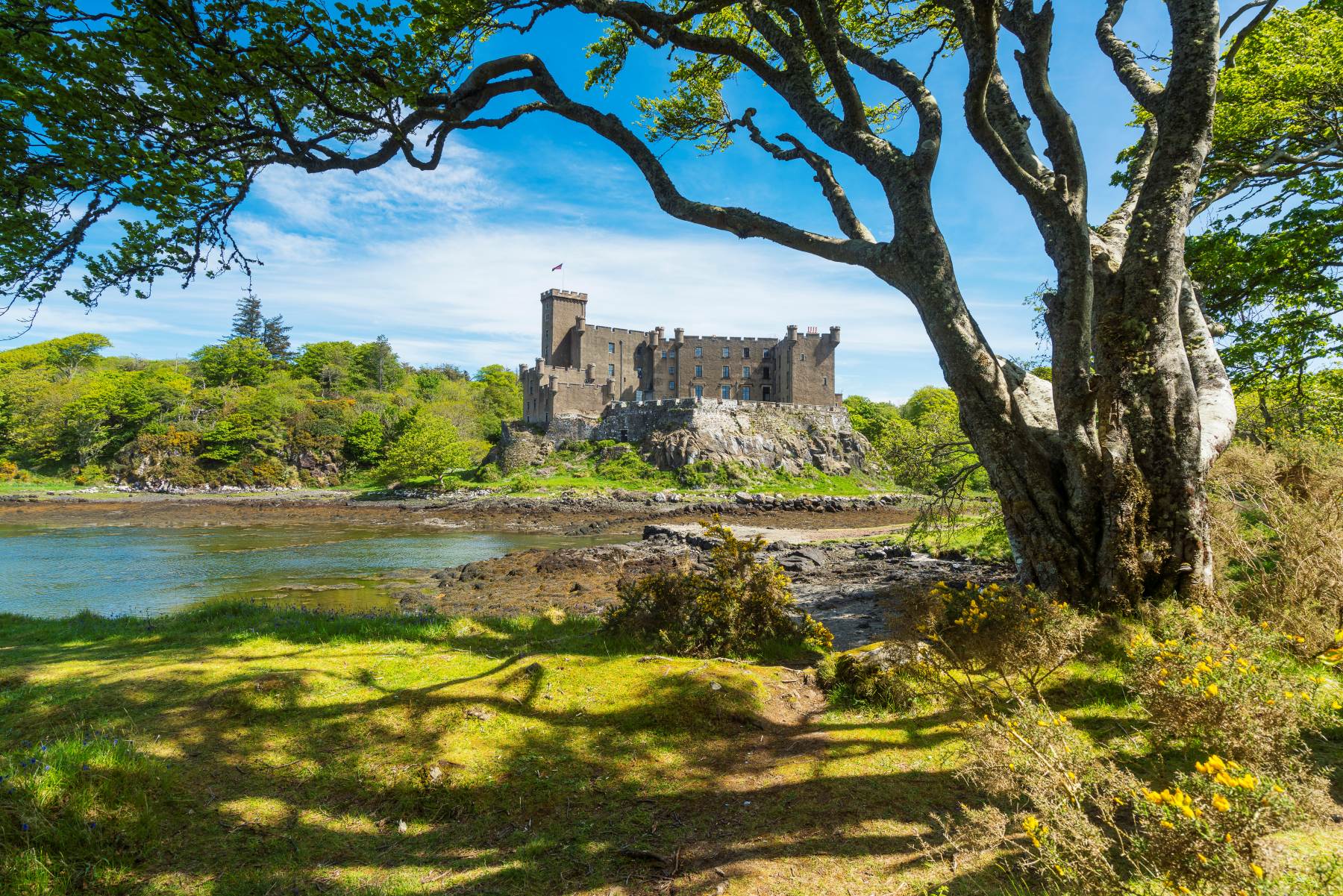 Immagine priva di titolo