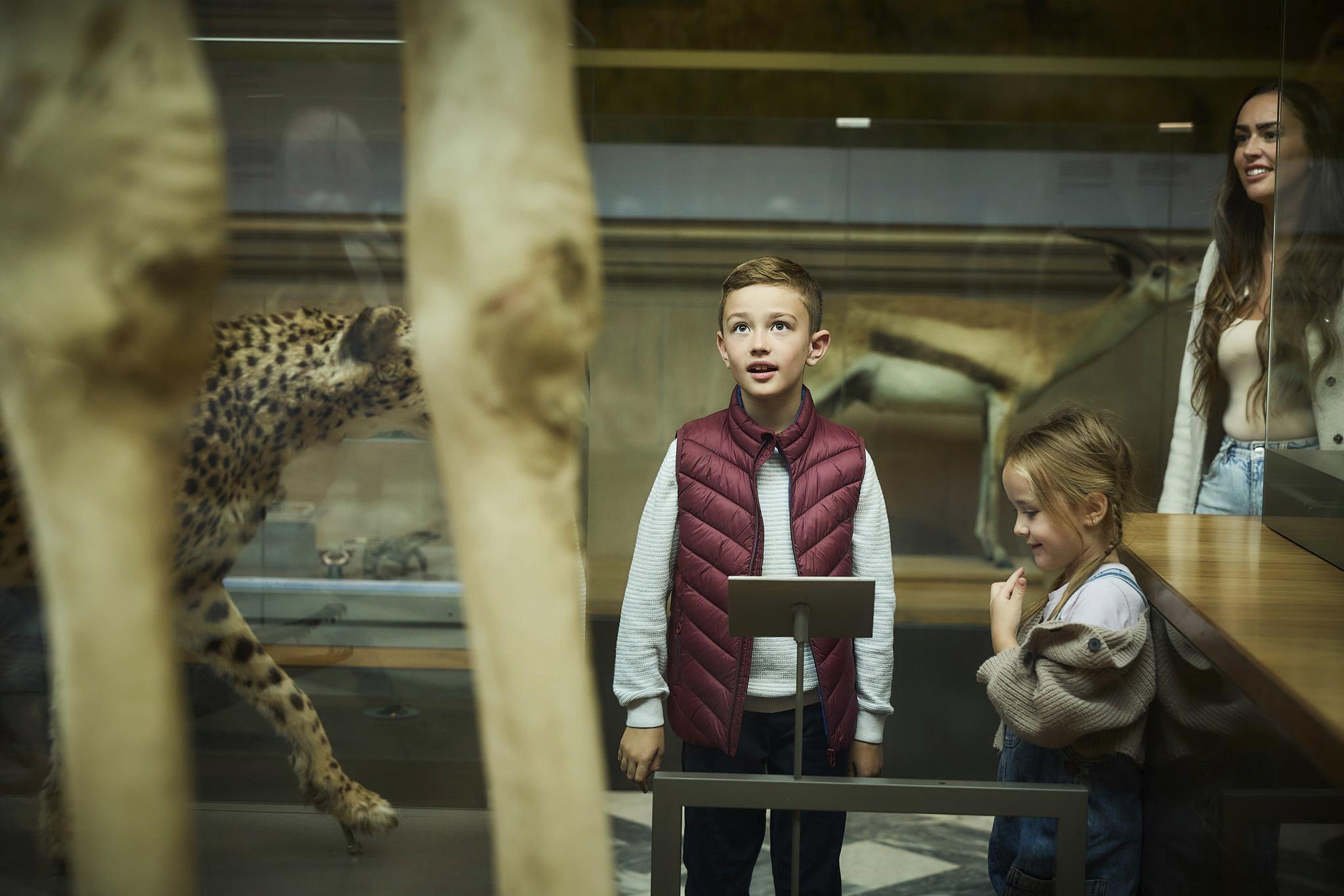 Two children and their mother look at animals in glass exhibits.