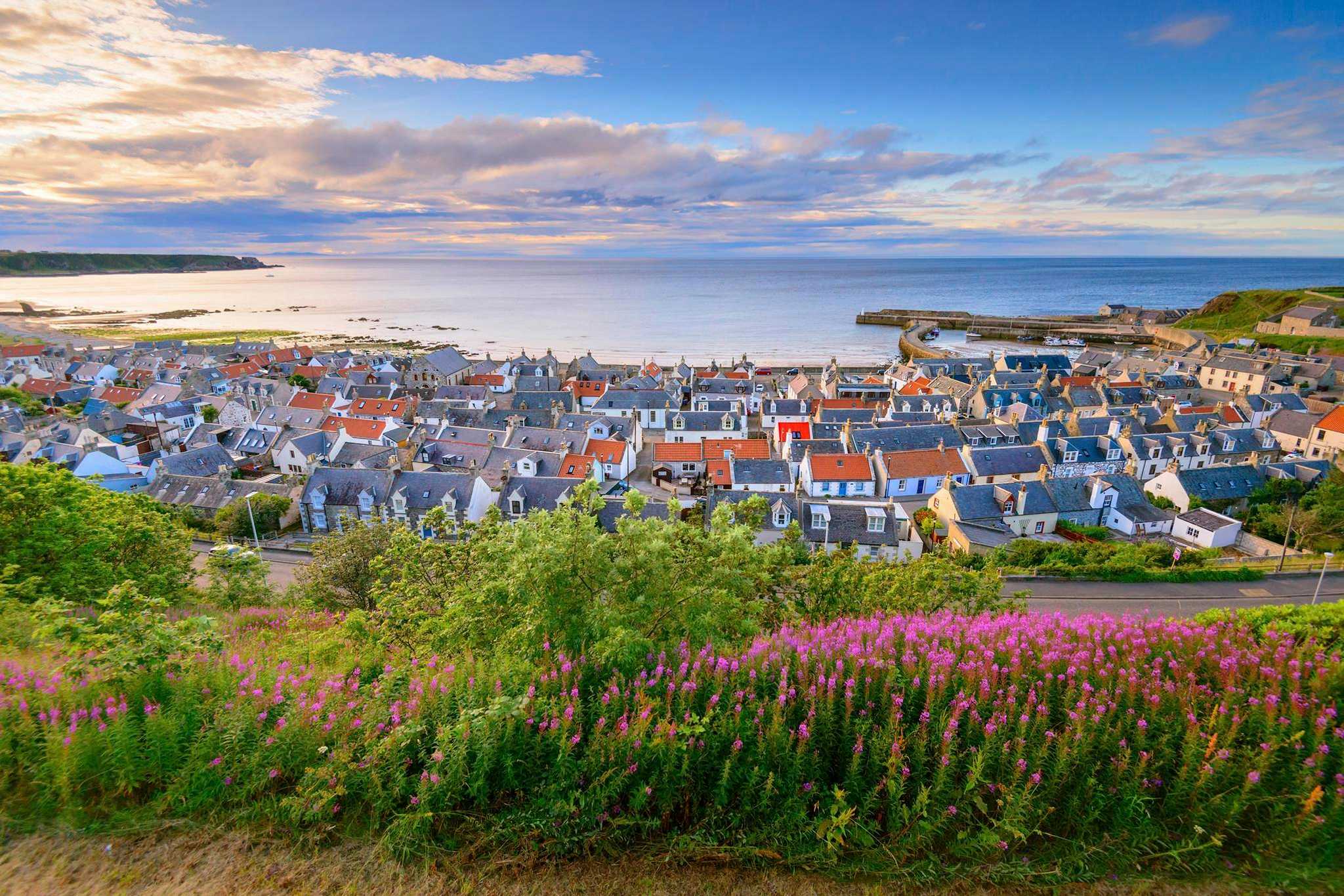 Looking across the village of Cullen and out to sea. Beautiful pink wild flowers are in the foreground.