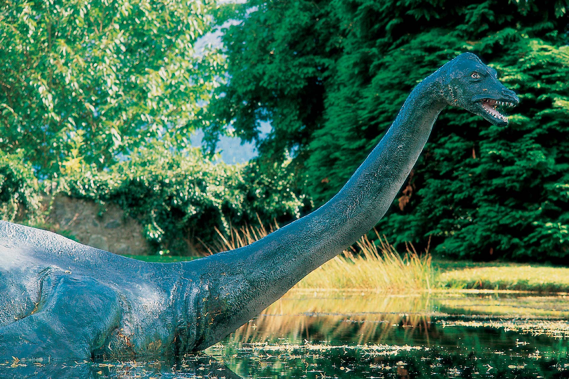 Nessie The Loch Ness Monster VisitScotland | tyello.com