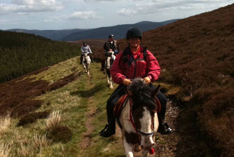 Scottish Equestrian Centre trail on hillside