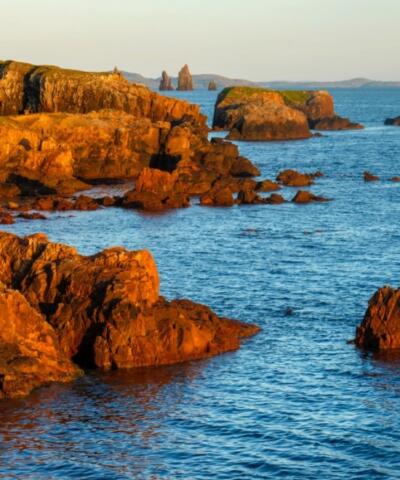 Sea cliffs at Braewick, Mainland, Shetland