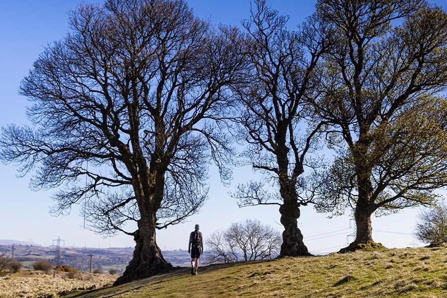 A person walks under a couple of trees upon Croy Hill