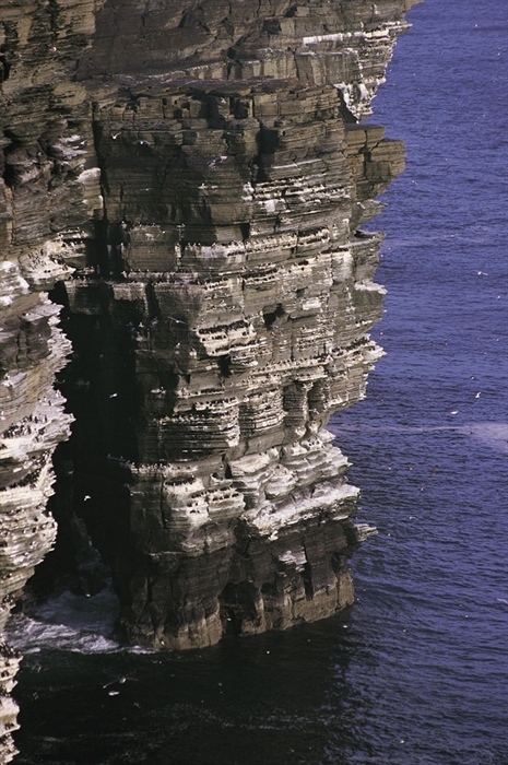 RSPB Scotland Noup Cliffs nature reserve
