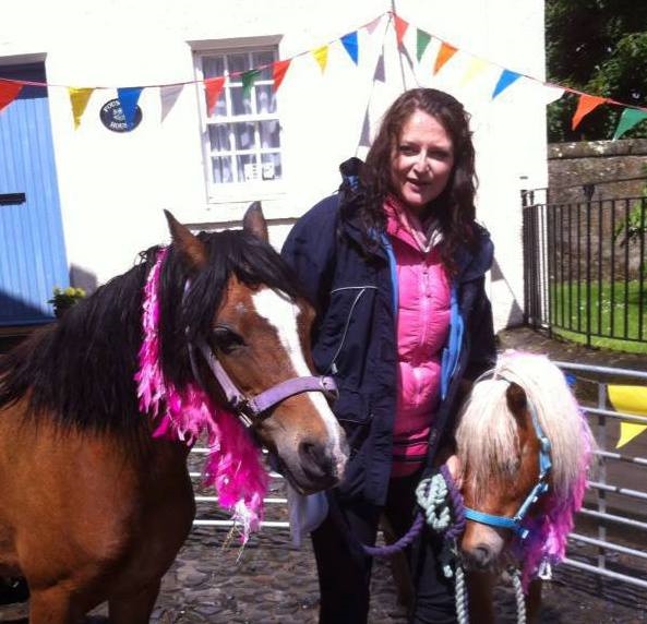 Toppy Star Pony Hire and Riding School