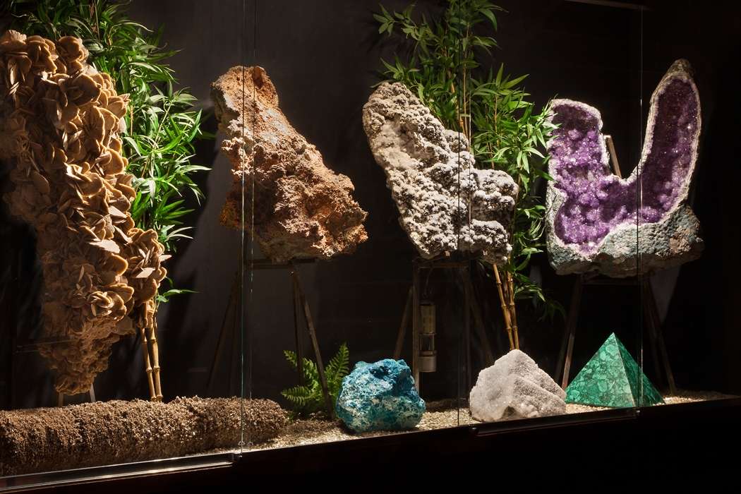 Treasures Of The Earth VisitScotland