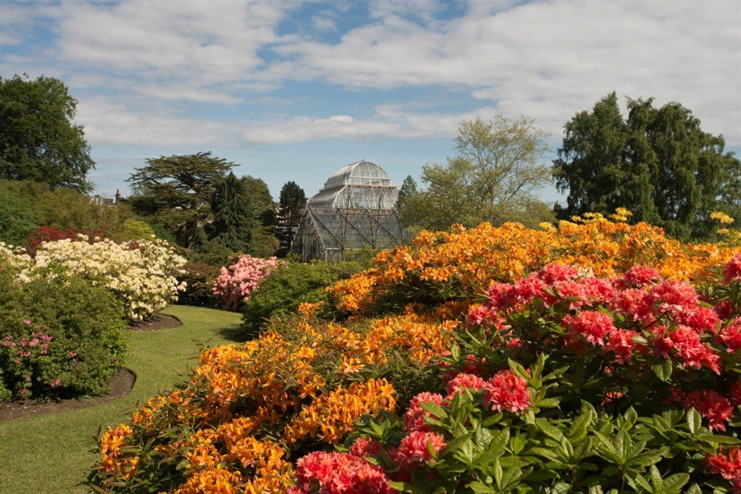 Royal Botanic Garden Edinburgh | VisitScotland